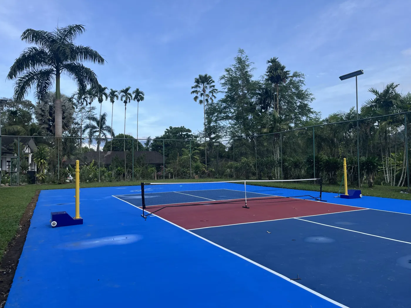 Blue and red pickleball court under palm trees
